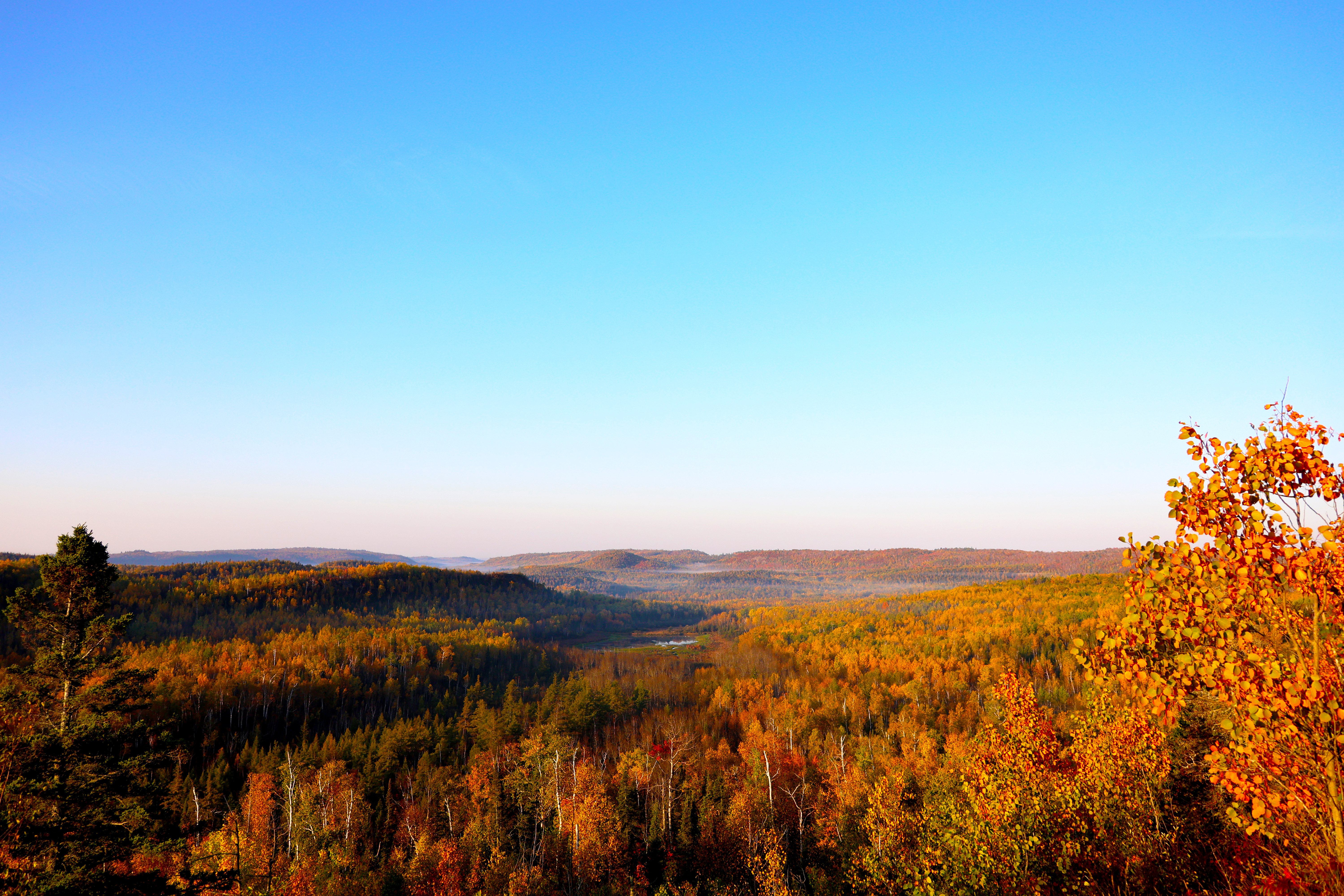 Fall Colors